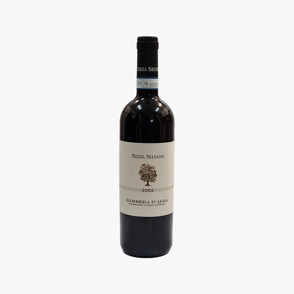 Barbera d'Alba 2024, Silvano Nizza