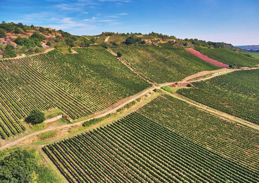 Bijzondere proeverij met 20 jaargangen Riesling Heerkretz GG, Wagner Stempel
