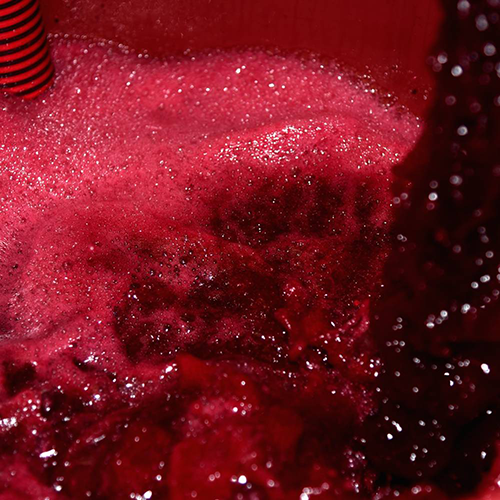 Maceration Carbonique